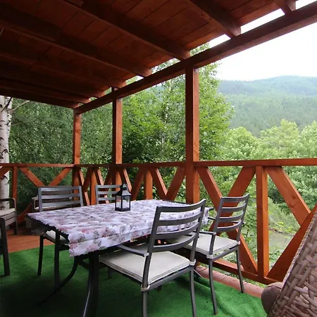 мини колибри 3*