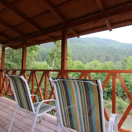 мини колибри