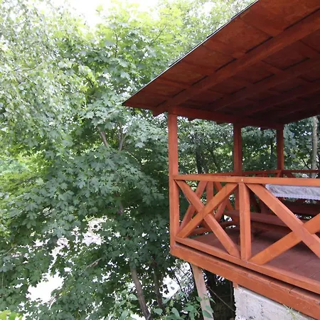 мини колибри تاتاريف